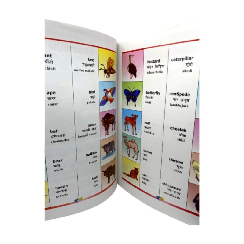 Children's Picture Dictionary - Image 2