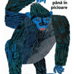 Din cap pana in picioare (RO-ENG)