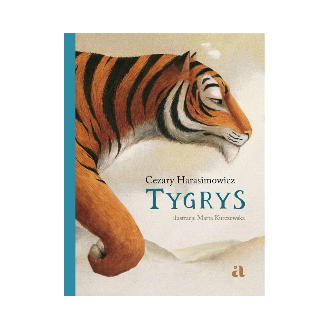 Tygrys