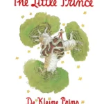 The Little Prince De Kleine Prins Tweetalige editie Engels-Nederlands